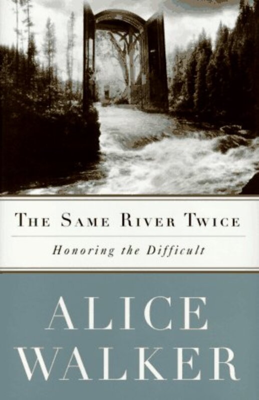 Book cover for "The Same River Twice"