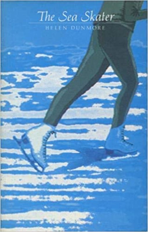 Book cover for "The Sea Skater" by Helen Dunmore