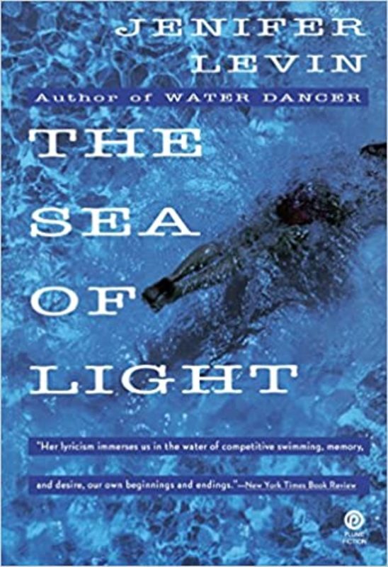 Book cover for "The Sea of Light" by Jenifer Levin
