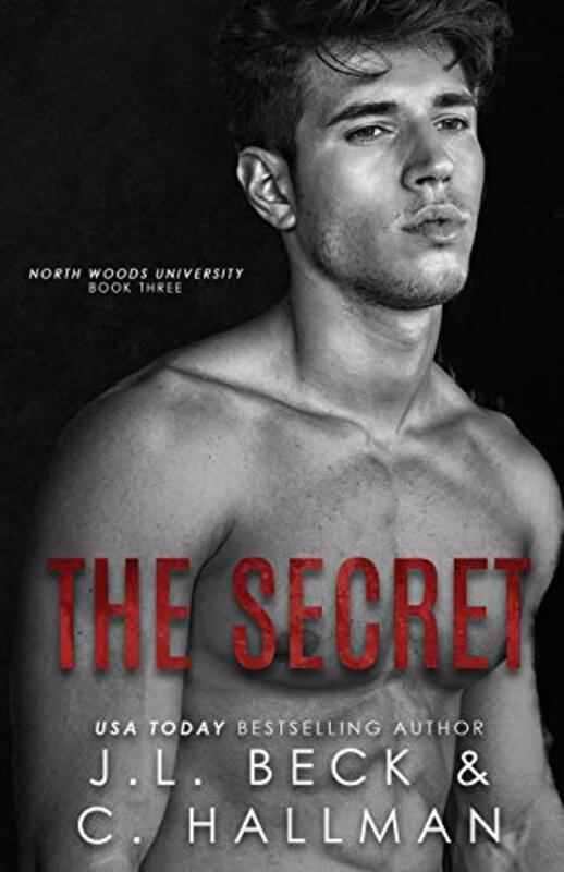 Book cover for "The Secret" by JL Beck
