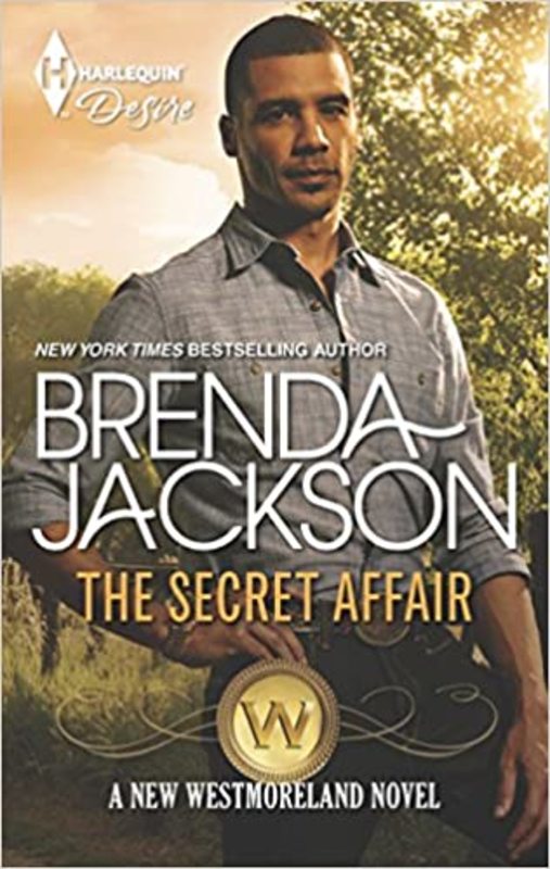 Book cover for "The Secret Affair" by Brenda Jackson