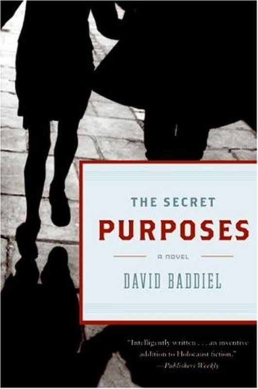 Book cover for "The Secret Purposes" by David Baddiel