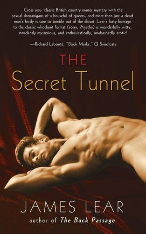 Book cover for "The Secret Tunnel" by James Lear