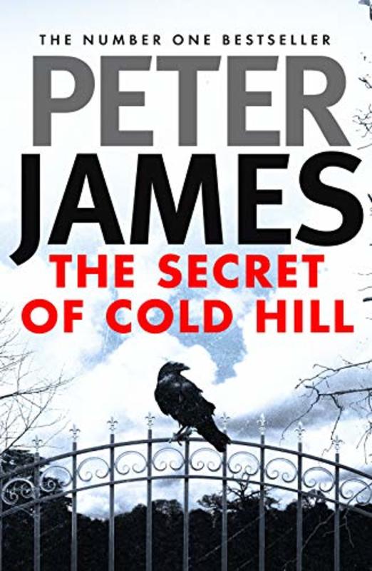 Book cover for "The Secret of Cold Hill" by Peter James