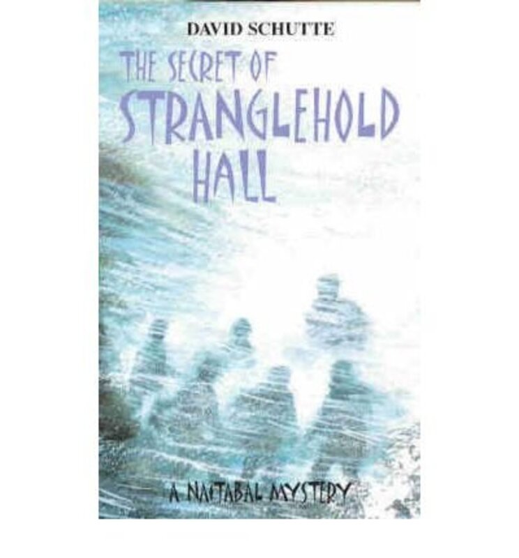 David Schutte book cover