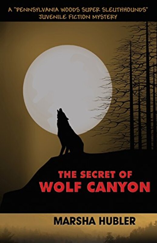 Book cover for "The Secret of Wolf Canyon" by Marsha Hubler