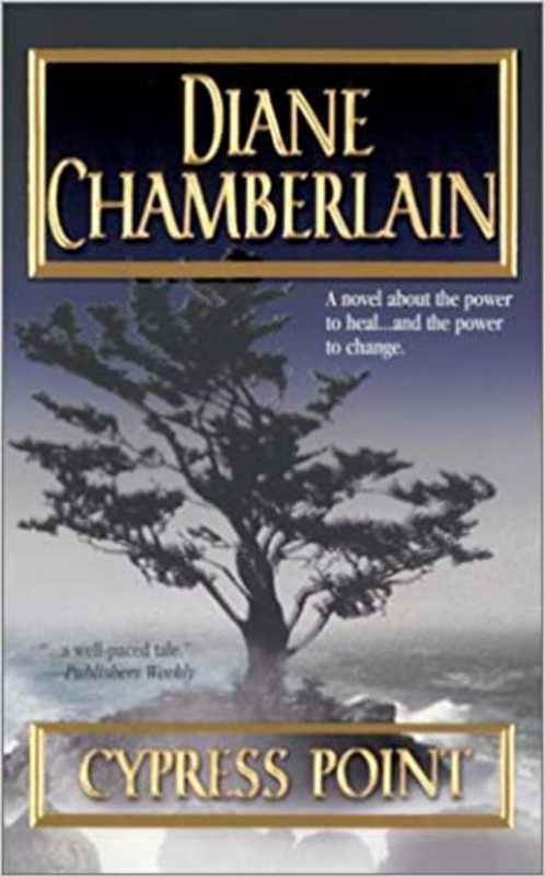 Book cover for "The Shadow Wife" by Diane Chamberlain