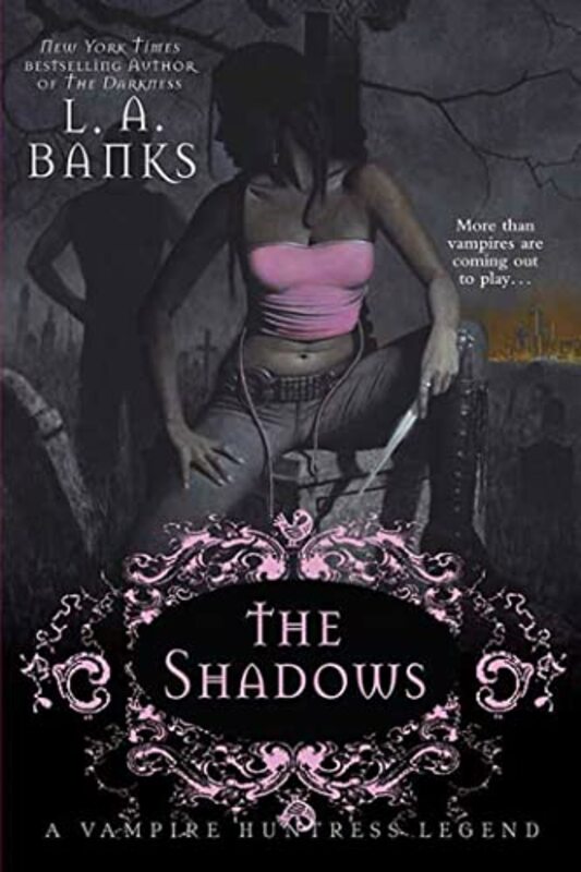 Vampire Huntress Legend book cover