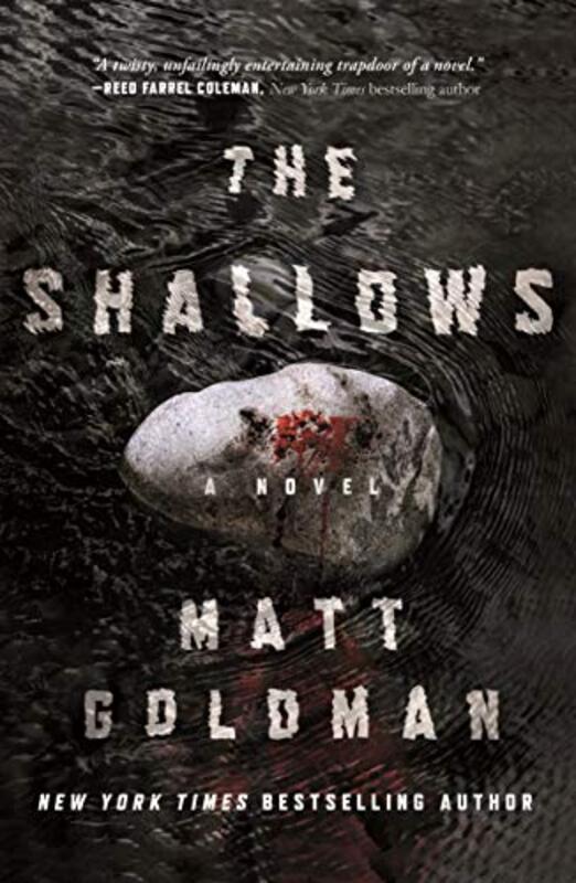 Book cover for "The Shallows" by Matt Goldman