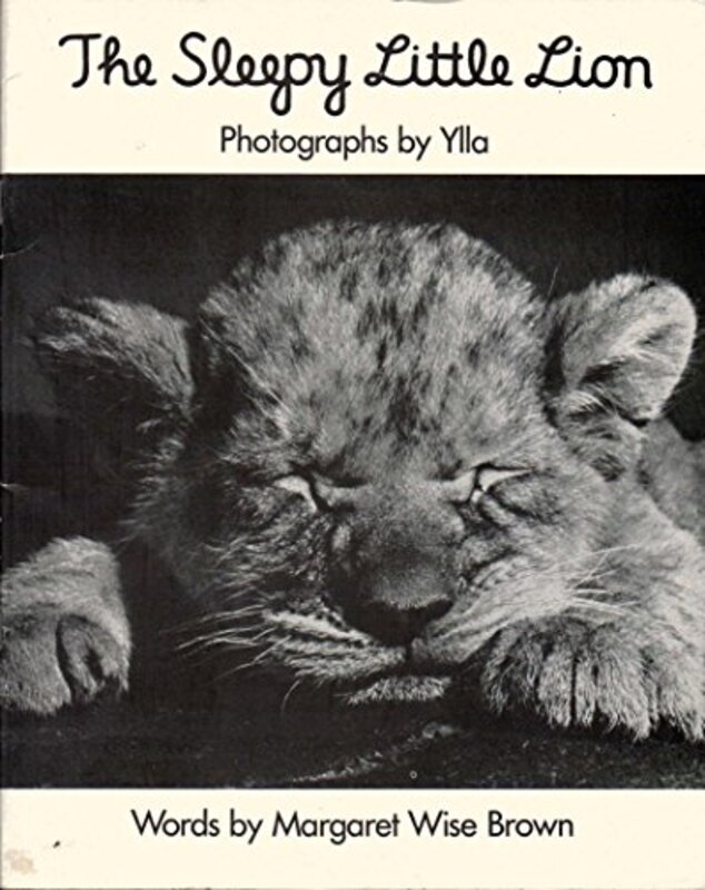 Book cover for "The Sleepy Little Lion" by Margaret Wise Brown