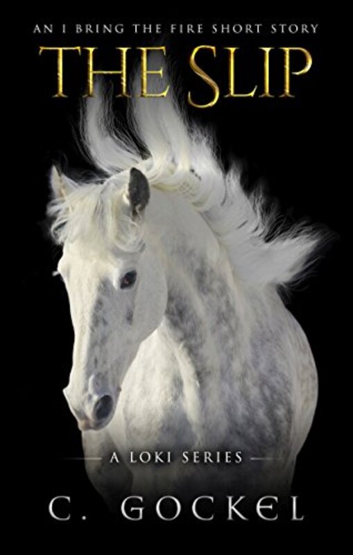 Book cover for "The Slip" by C Gockel