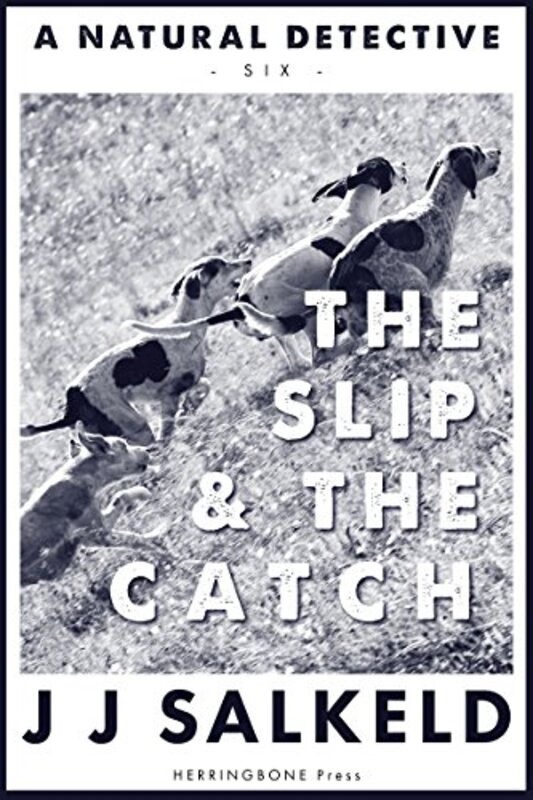 Book cover for "The Slip and the Catch" by J J Salkeld