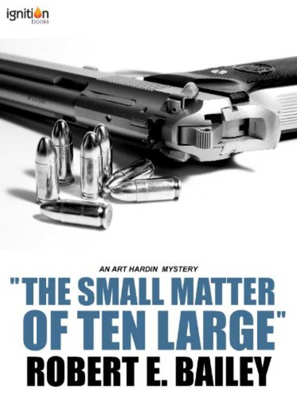 Robert E Bailey book cover