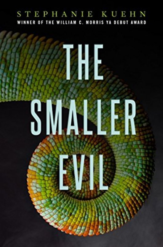 Book cover for "The Smaller Evil" by Stephanie Kuehn