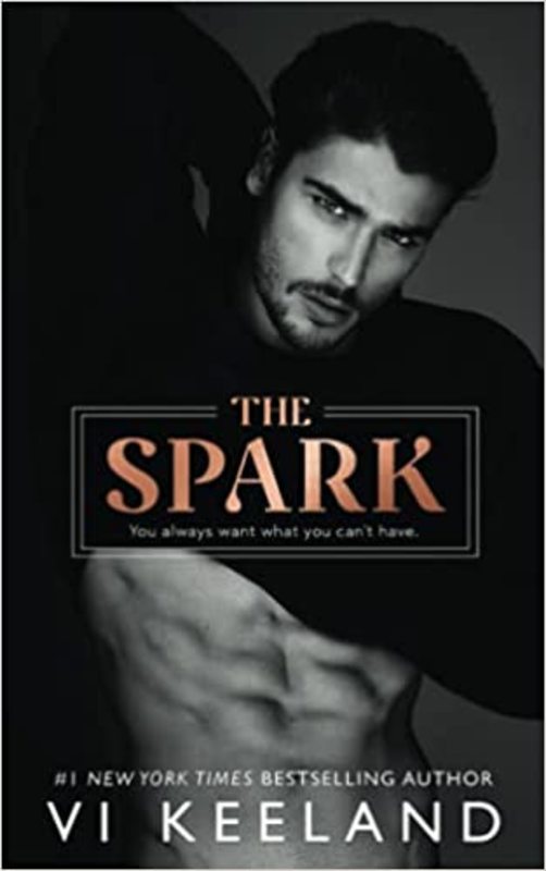 Book cover for "The Spark" by Vi Keeland