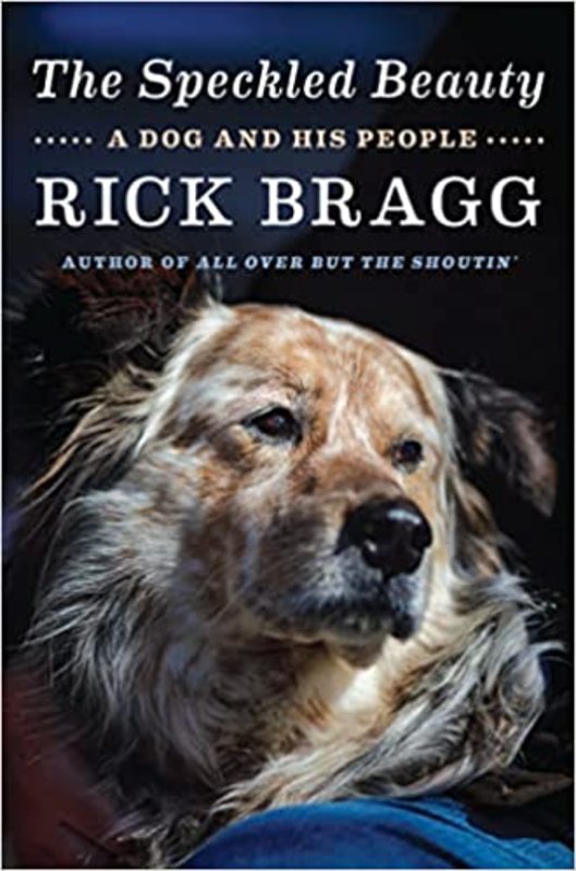 Book cover for "The Speckled Beauty" by Rick Bragg