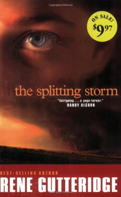 Book cover for "The Splitting Storm" by Rene Gutteridge