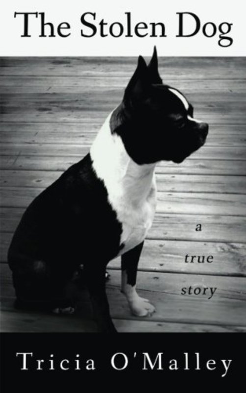 Book cover for "The Stolen Dog" by Tricia O'Malley