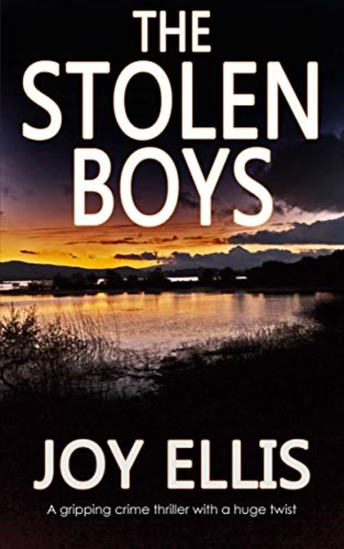 Book cover for "The Stolen Boys" by Joy Ellis