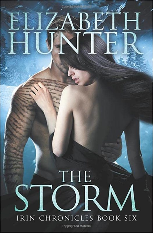 Book cover for "The Storm" by Elizabeth Hunter