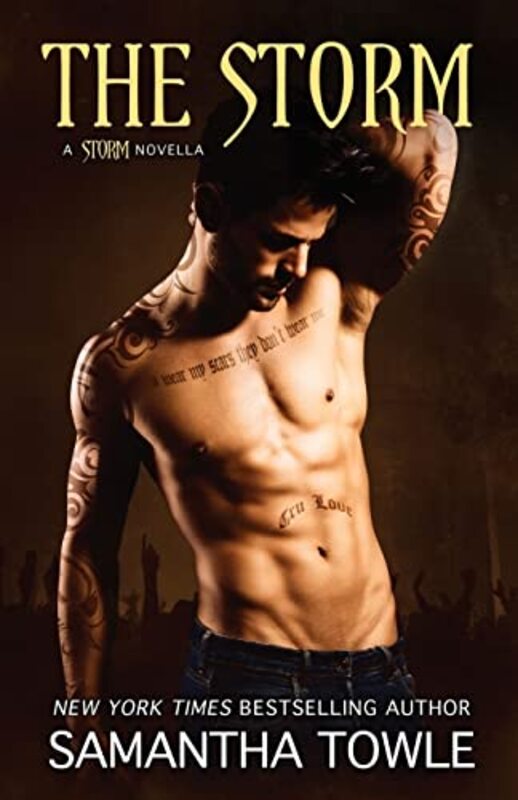 Book cover for "The Storm" by Samantha Towle