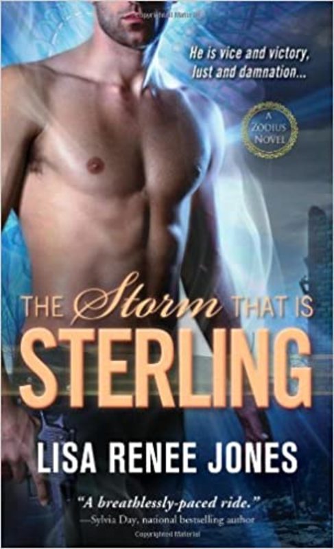 Book cover for "The Storm That Is Sterling" by Lisa Renee Jones