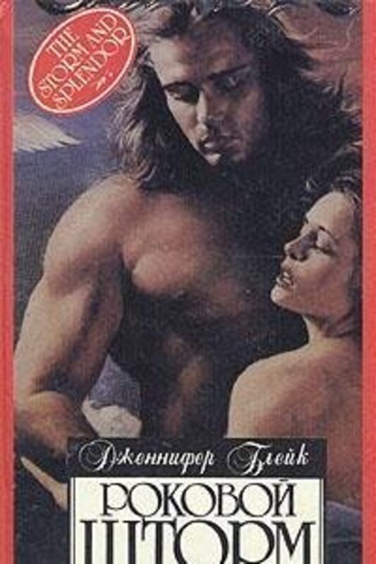 Book cover for "The Storm and the Splendor" by Patricia Maxwell