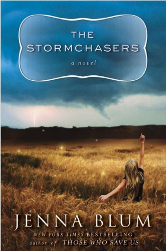 Book cover for "The Stormchasers" by Jenna Blum
