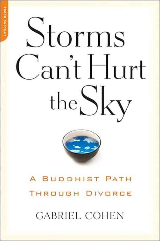 Gabriel Cohen book cover