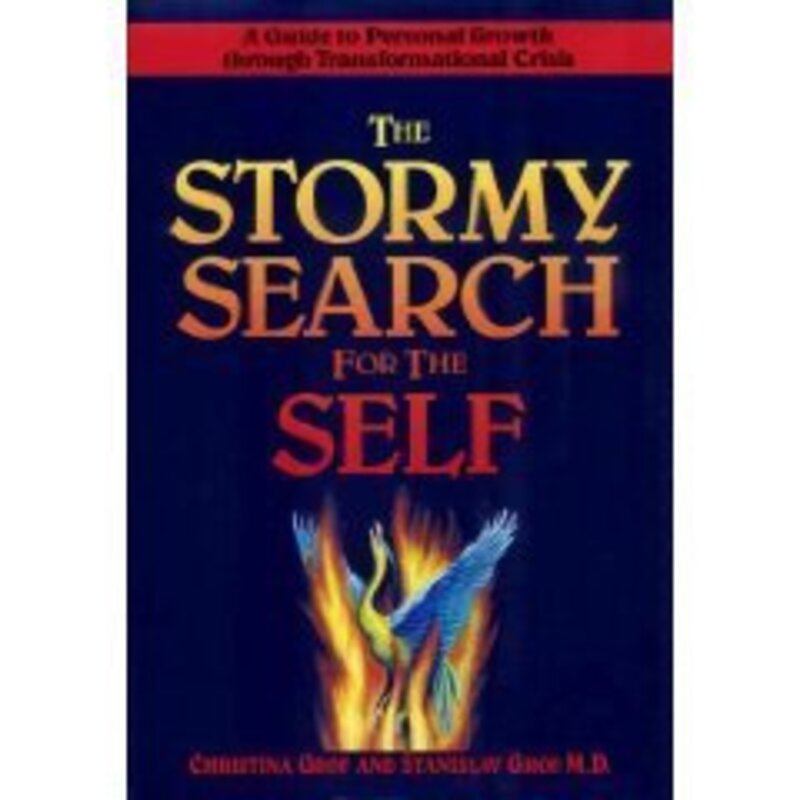 Book cover for "The Stormy Search for the Self"