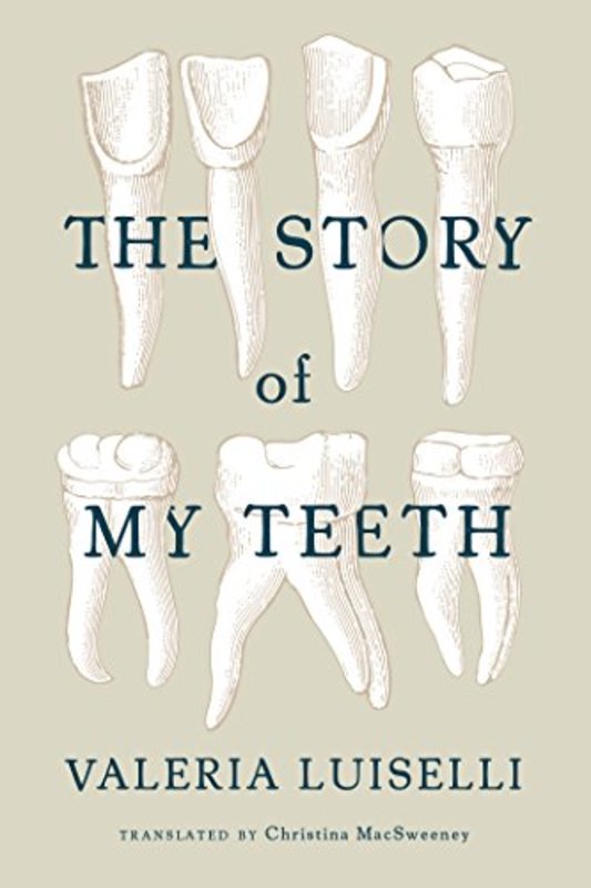 Valeria Luiselli book cover