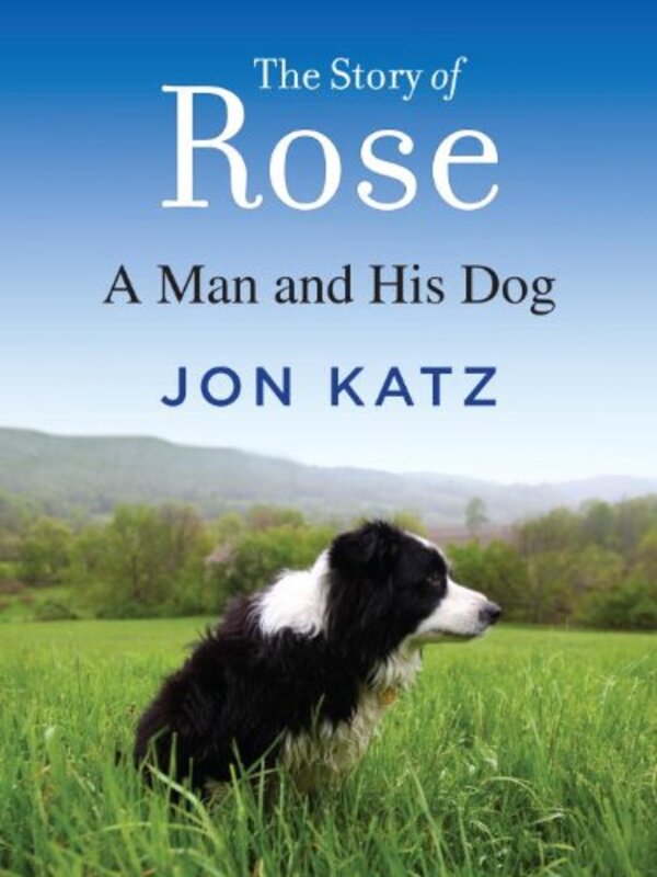 Book cover for "The Story of Rose" by Jon Katz