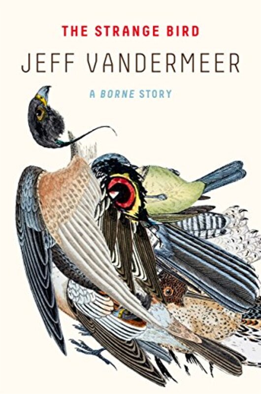 Book cover for "The Strange Bird" by Jeff VanderMeer