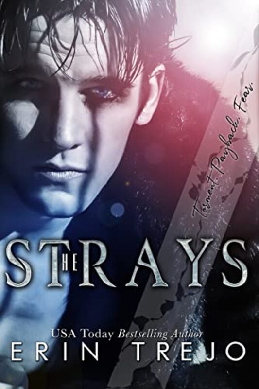 Book cover for "The Strays" by Erin Trejo