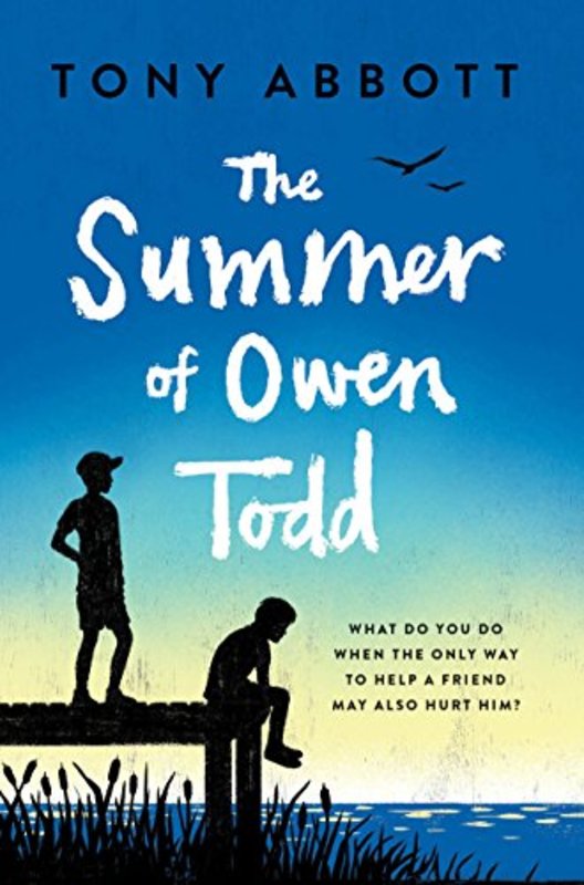 Book cover for "The Summer of Owen Todd" by Tony Abbott