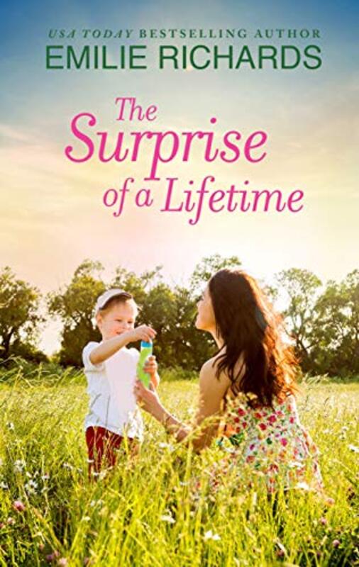 Emilie Richards book cover