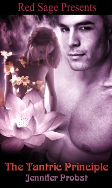 Book cover for "The Tantric Principle" by Jennifer Probst
