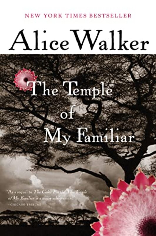 Book cover for "The Temple of My Familiar"