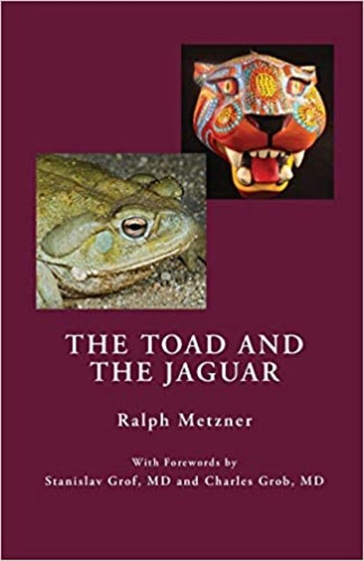 Book cover for "The Toad and the Jaguar a Field Report of Underground Research on a Visionary Medicine" by Ralph Metzner