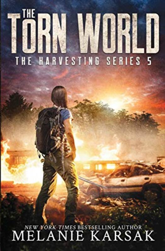 Book cover for "The Torn World" by Melanie Karsak