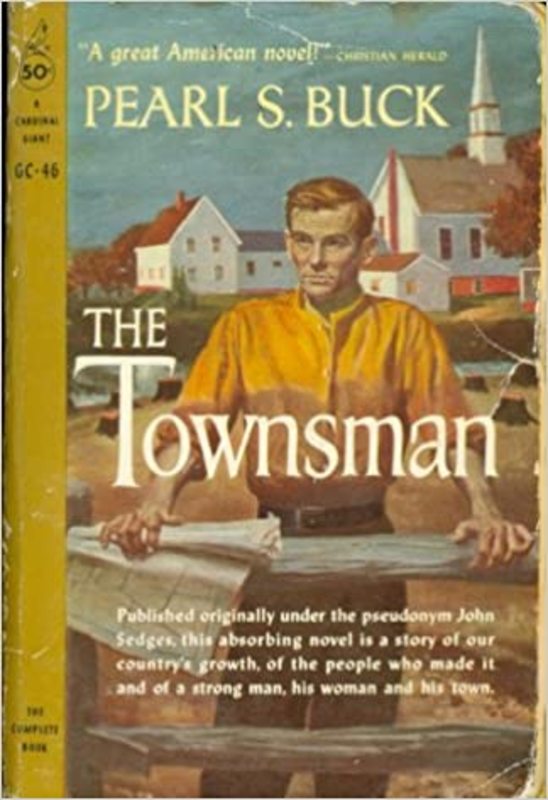 Book cover for "The Townsman" by Pearl S Buck