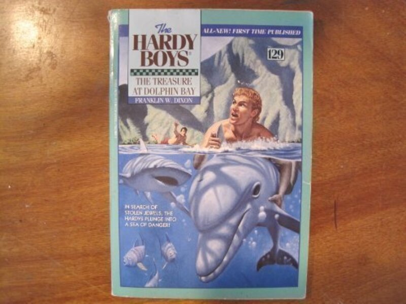 Book cover for "The Treasure at Dolphin Bay" by Franklin W Dixon