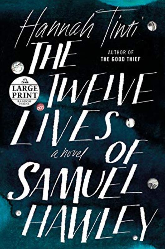 Hannah Tinti book cover