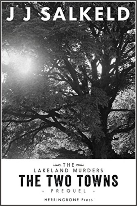 Book cover for "The Two Towns" by J J Salkeld
