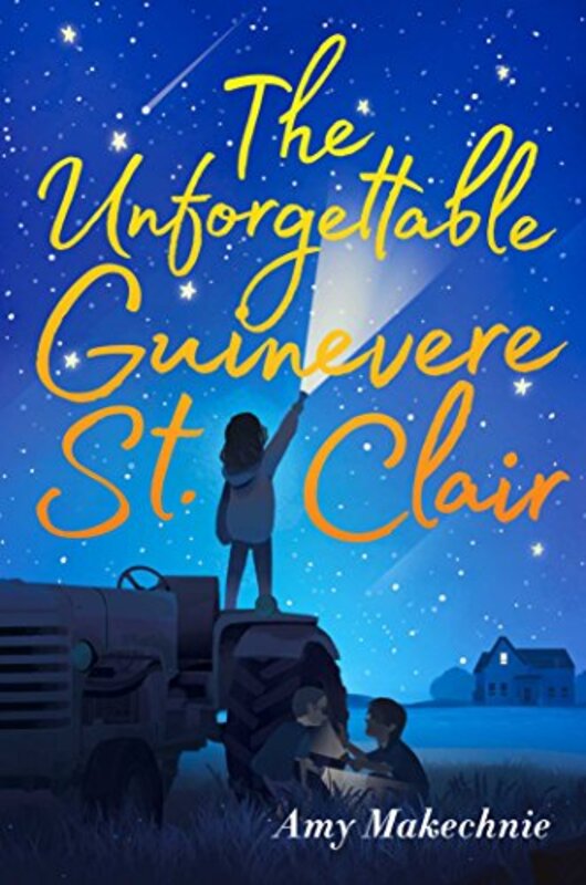 Amy Makechnie book cover