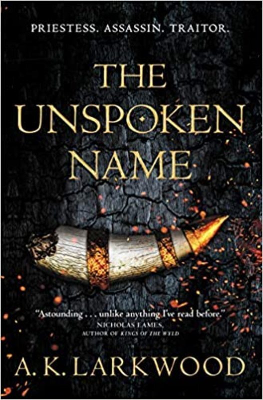 AK Larkwood book cover
