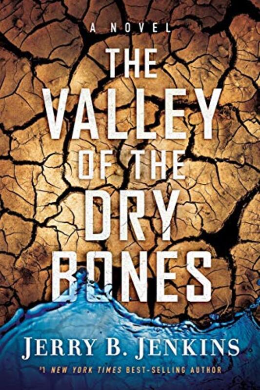 Book cover for "The Valley of the Dry Bones" by Jerry B Jenkins
