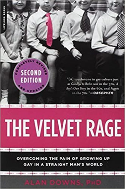 Book cover for "The Velvet Rage" by Alan Downs