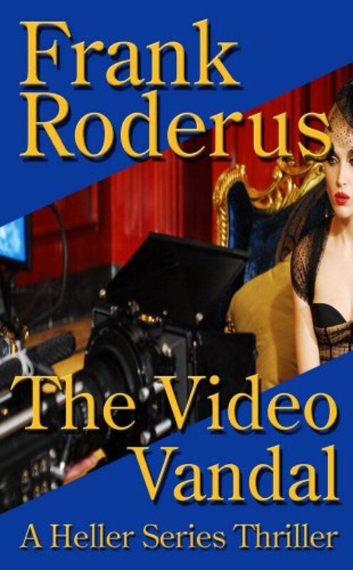 Book cover for "The Video Vandal" by Frank Roderus