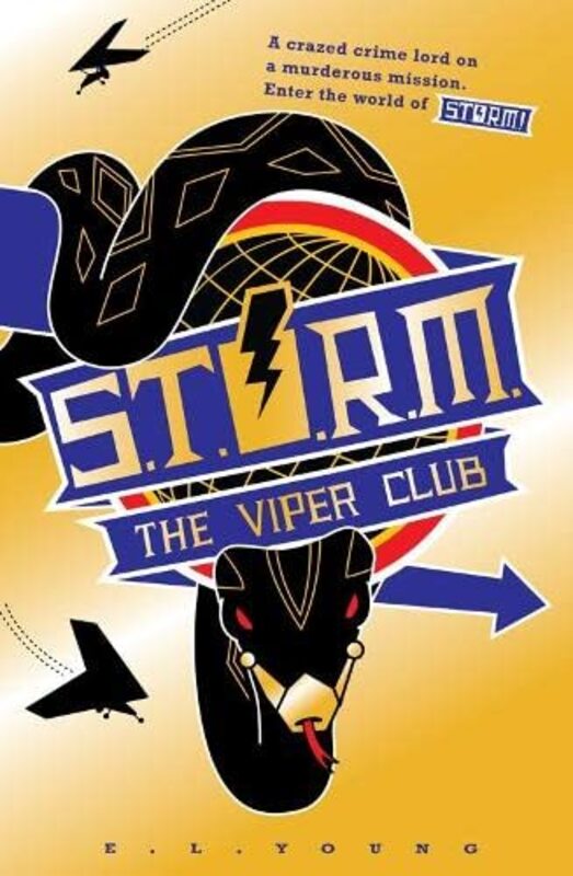 STORM book cover